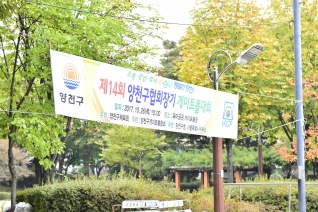 제14회 양천구협회장기 게이트볼 대회 대표이미지