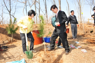 북한이탈주민과 함께하는 희망양천 나무심기 행사 대표이미지
