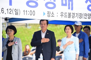 20160612 우드볼 대회 대표이미지