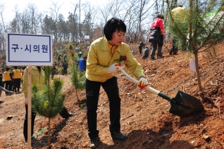 북한이탈주민과 함께하는 희망양천 나무심기 행사 대표이미지