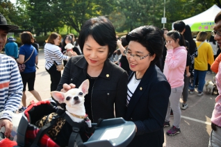 반려견 문화축제 대표이미지