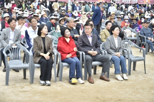 신월6, 신정3 한마음 문화 축제 대표이미지