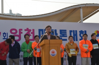 안양천 사랑, 제7회 양천마라톤 대회 개최 대표이미지