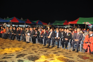 제16회 악양대봉감축제 대표이미지
