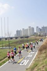 안양천 사랑, 제7회 양천마라톤 대회 개최 대표이미지