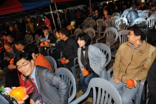 제16회 악양대봉감축제 대표이미지