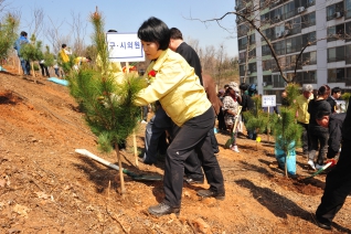 북한이탈주민과 함께하는 희망양천 나무심기 행사 대표이미지