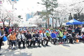 2015 방아다리 벚꽃축제 대표이미지