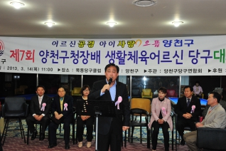 양천구어르신 당구대회 대표이미지