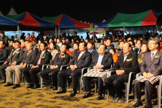 제16회 악양대봉감축제 대표이미지