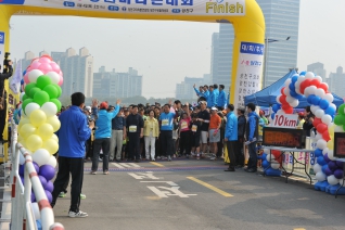 독도마라톤 대회 대표이미지