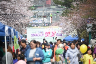 제9회 신월5동 방아다리 벚꽃축제 대표이미지