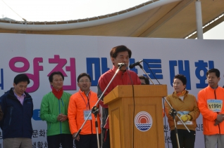 안양천 사랑, 제7회 양천마라톤 대회 개최 대표이미지