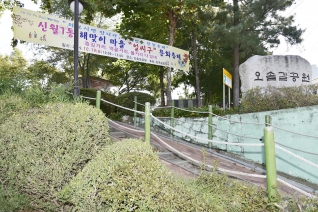 신월7동 해맞이 마을 얼씨구 문화축제 대표이미지