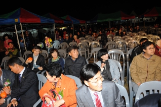 제16회 악양대봉감축제 대표이미지