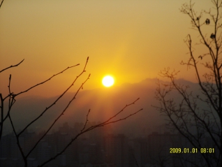 2009년 기축년 떠오르는 태양 대표이미지