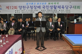 제12회 양천구청장배 국민생활체육당구대회 개최 대표이미지
