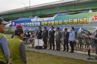 안양천 우드볼대회 대표이미지